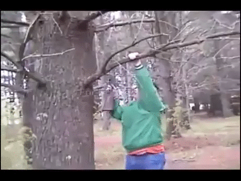 Rambo