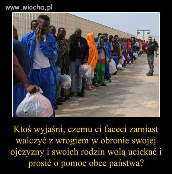 Właśnie !