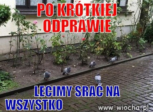 Po...