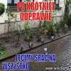 Po...