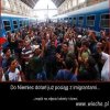 To nie emigranci ... tylko armia w cywilu