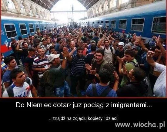 To nie emigranci ... tylko armia w cywilu