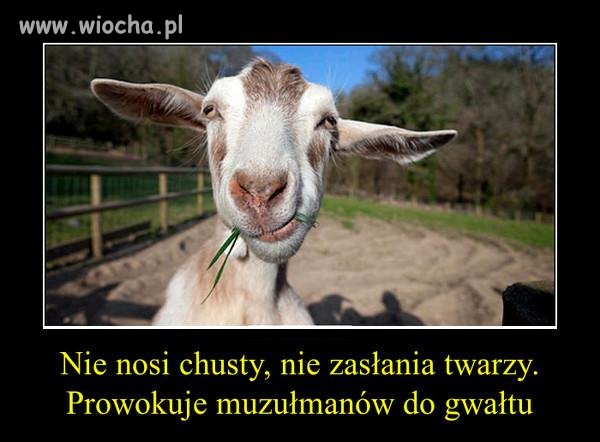 Koza 