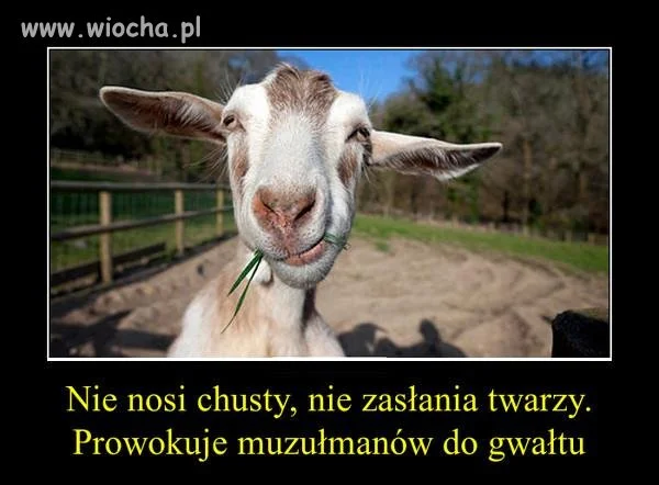 Koza 
