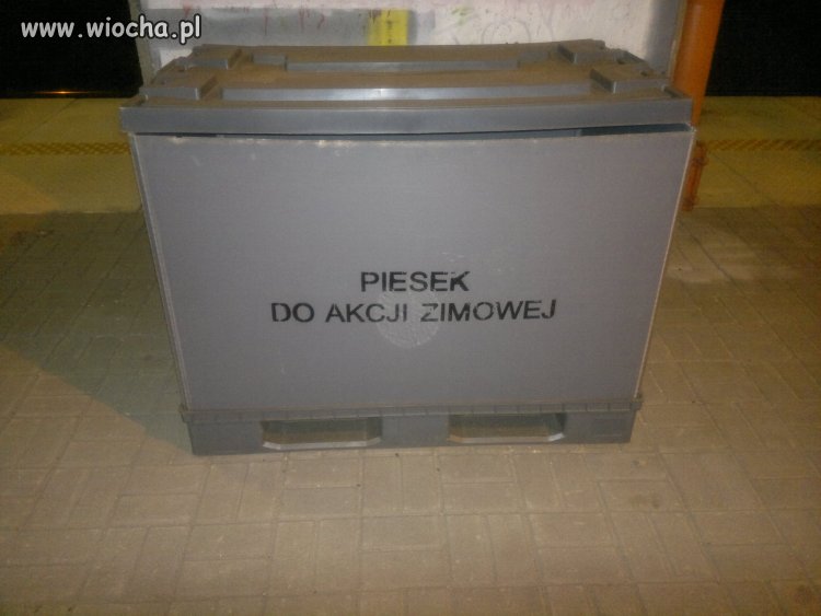 Piesek do akcji...