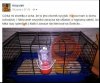 Czy warto się bać plagi gryzoni?