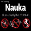 Nieco przewrotnie 