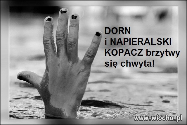 Słyszałem, że ponoć tonący?! Listy PO