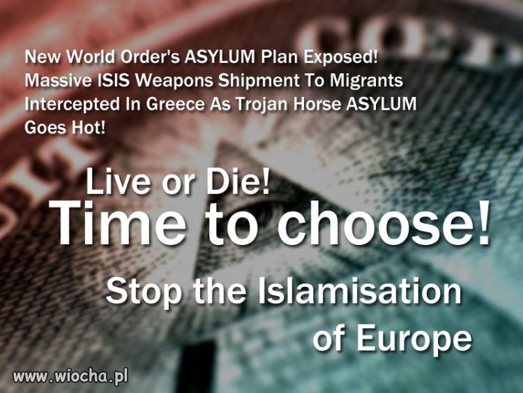 NWO Asylum