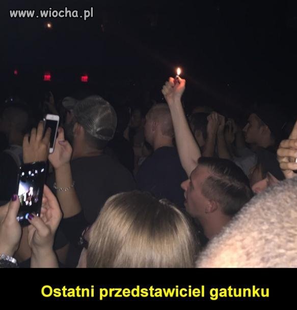 Koncert