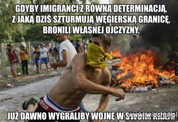 Gdyby walczyli tak o swój kraj 