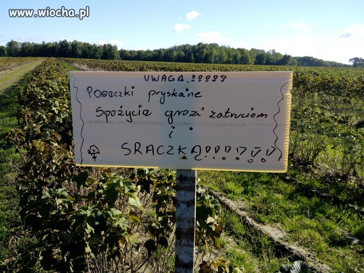 Uważajta