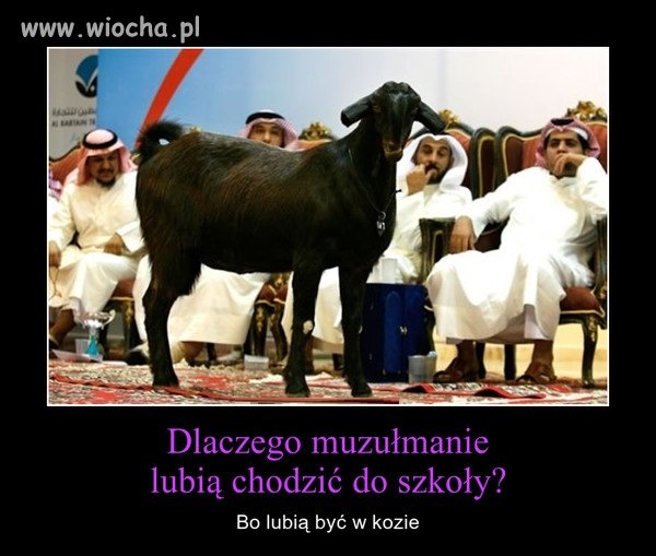 Islamski dowcip szkolny...