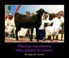 Islamski dowcip szkolny...