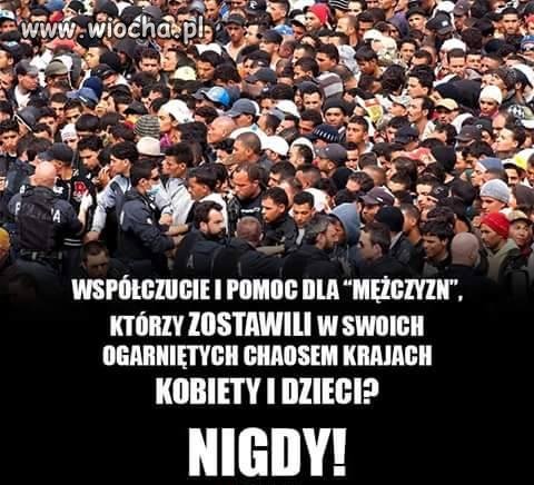 Opis mówi wszystko
