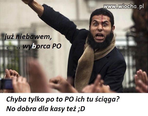 "ciągle głodni"