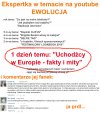 Ekspertka ds. uchodźców LVL Mistrz