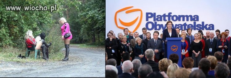 Czy ja tylko widzę że te zdjęcia są takie same ?
