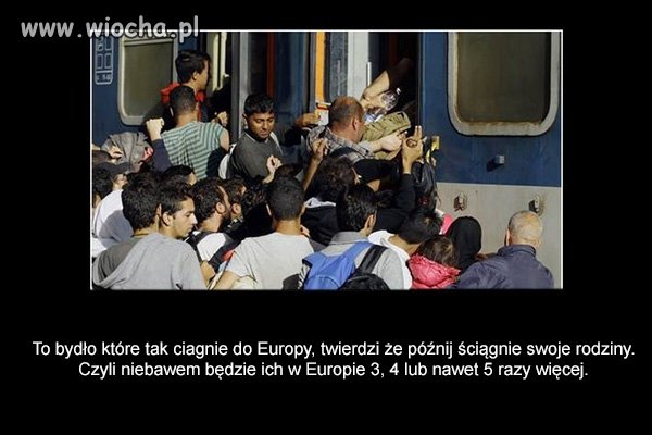 Tak jest prawda