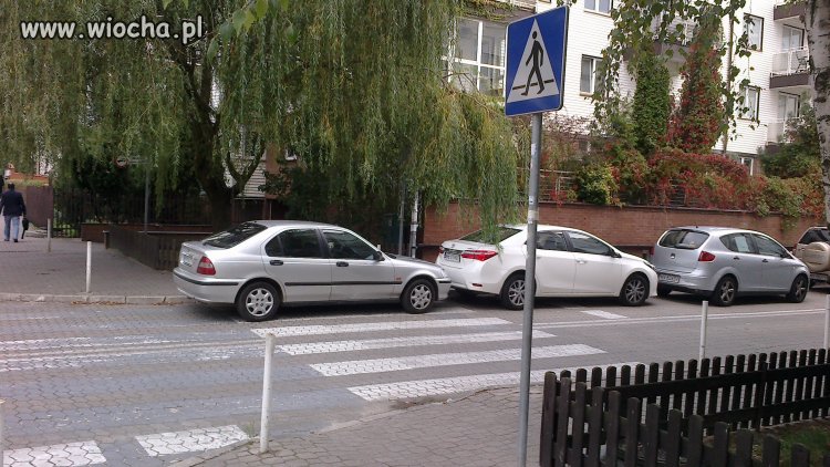 Zebra jest moja...
