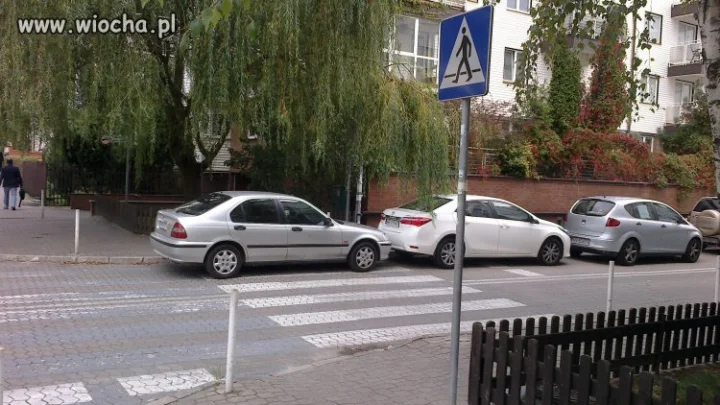 Zebra jest moja...
