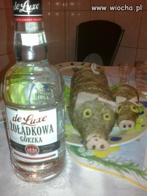 Coś dla uchodzców