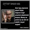 Coś w tym jest?