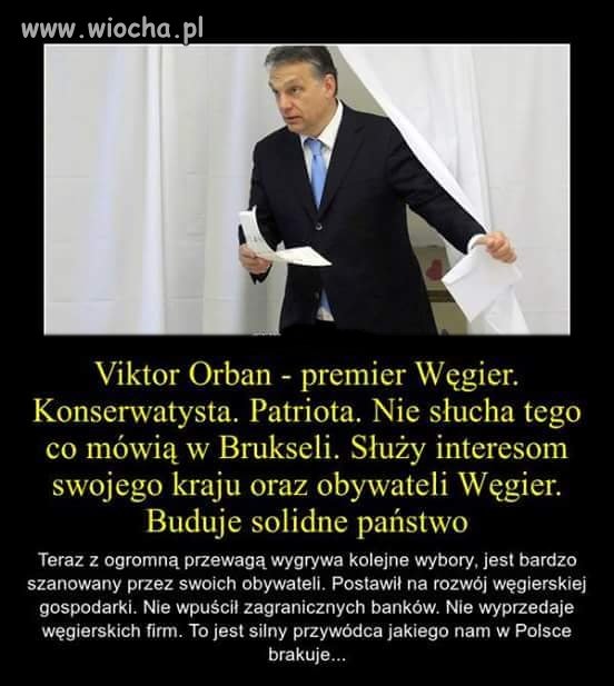 Szkoda, że takowych jaj nie ma nikt