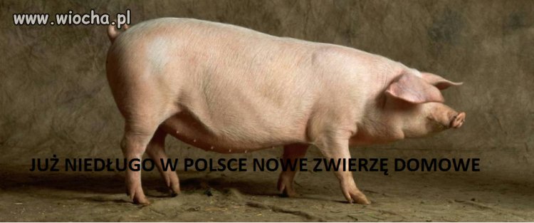 Jakże prawdziwe