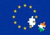 Irlandia w 2008 roku w referendum opowiedziała się