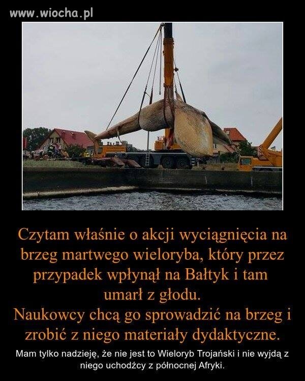 Też powinniśmy to brać pod Uwagę