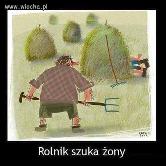 Rolnik szuka żony