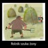 Rolnik szuka żony