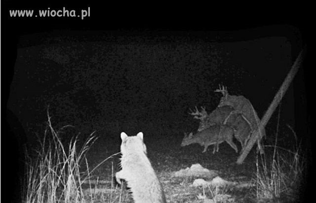 To uczucie, gdy zdajesz sobie sprawę...