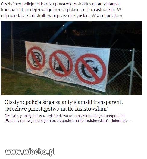 Komunista Leming i anty Polak widzi tutaj rasizm.