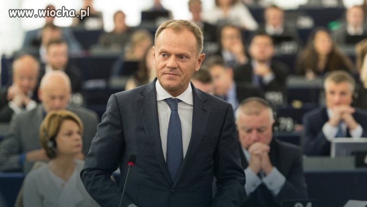 Nie wierze, zaczął lizus niemiecki myśleć 