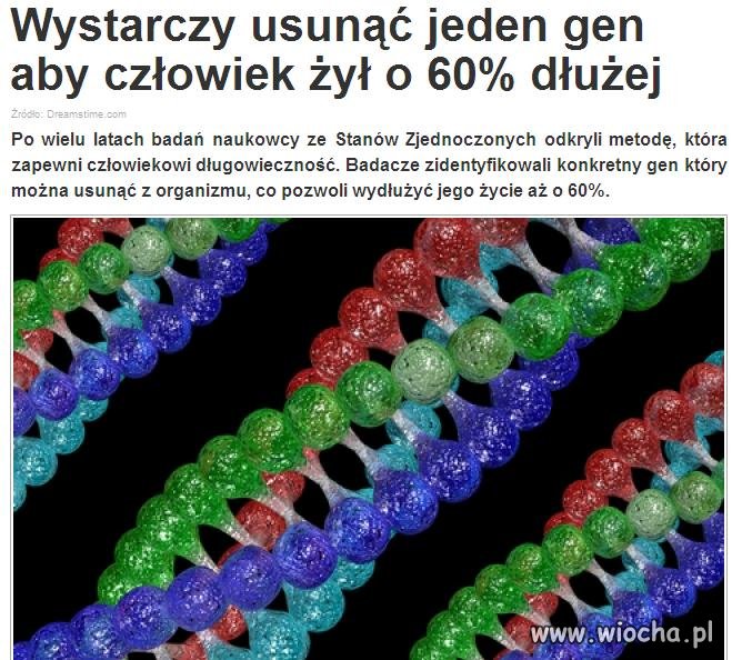 W ZUSie płaczą jak to czytają.