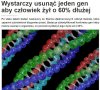 W ZUSie płaczą jak to czytają.