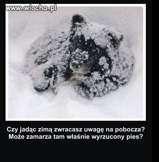 Widząc taki obrazek właściciel tego psa to śmieć !