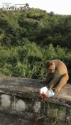 Debil włożył petardę do paczki chipsów