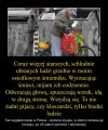 Zielona wyspę już mieliśmy! A po wyborczych 