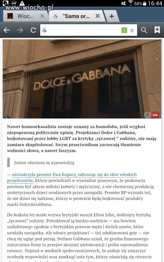 Nawet normalni geje z D&G oskarżeni o homofobie