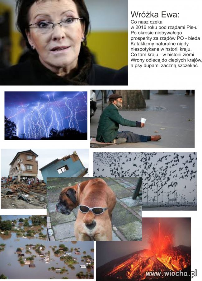 Wróżka EWA