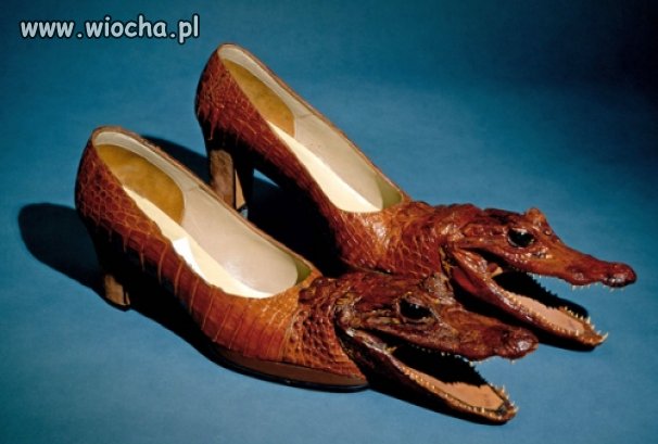 Prawdziwe crocsy
