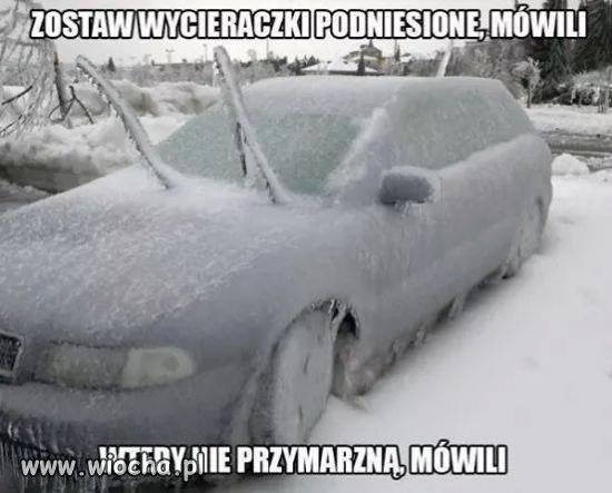 Skrobaczka w aucie???