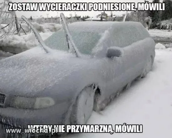 Skrobaczka w aucie???