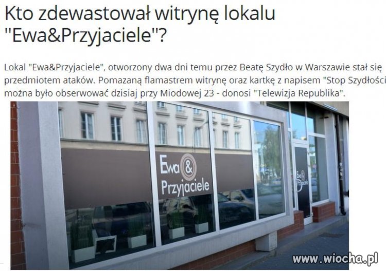 Lemingi zdewastowały lokal. Prawda boli?
