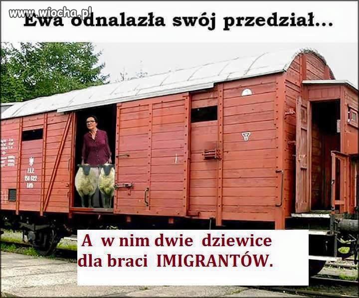 Szukała, szukała, aż znalazła
