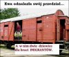 Szukała, szukała, aż znalazła