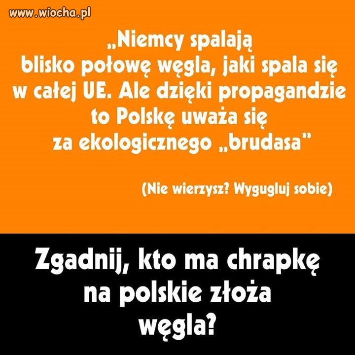 Wszystko w temacie 